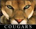 Cougars mascot photo.