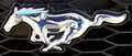 Mustangs mascot photo.