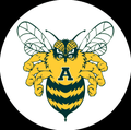 Bumblebees mascot photo.