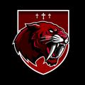 Sabers mascot photo.