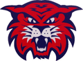 Wildcats mascot photo.