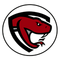 Diamondbacks mascot photo.