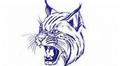 Wildcats mascot photo.