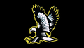 Falcons mascot photo.