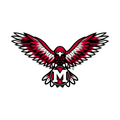 Red Hawks mascot photo.
