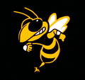 Hornets mascot photo.