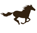 Mustangs mascot photo.