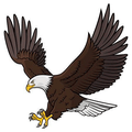 EAGLES mascot photo.