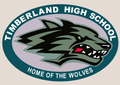 T-Wolves mascot photo.