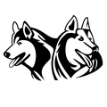 Malemutes mascot photo.