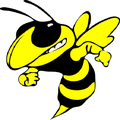 Yellowjackets mascot photo.