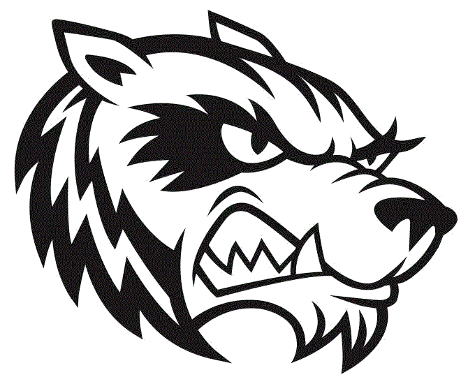 Junior Castillo's (Penelope, TX) Awards MaxPreps