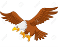 Eagles mascot photo.