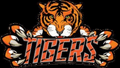 Tigers mascot photo.
