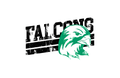 Falcons mascot photo.