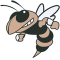 Yellowjackets mascot photo.