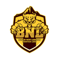 Mountain Lions mascot photo.