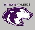Huskies mascot photo.