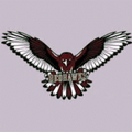 Red Hawks mascot photo.