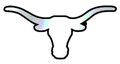 Longhorns mascot photo.