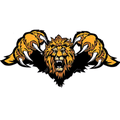 Lions mascot photo.