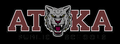 Wampus Cats mascot photo.