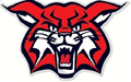 Wildcats mascot photo.