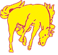Broncos mascot photo.