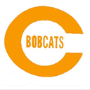 Celina logo
