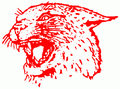 Wildcats mascot photo.