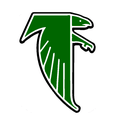 Falcons mascot photo.