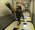 Redhawks mascot photo.