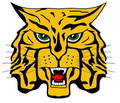Wildcats mascot photo.