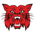 Wildcats mascot photo.