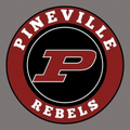 Rebels mascot photo.
