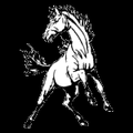 Mustangs mascot photo.