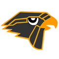 Falcons mascot photo.