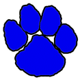 Wildcats mascot photo.