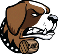 Saints mascot photo.