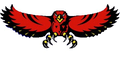 Hawks mascot photo.