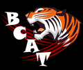 Tigers mascot photo.