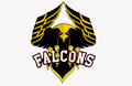 Falcons mascot photo.