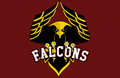 Falcons mascot photo.