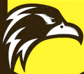 Falcons mascot photo.