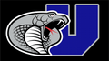 Cobra mascot photo.