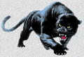 Panthers mascot photo.