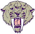 Sabers mascot photo.