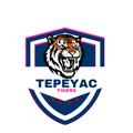 Tigers mascot photo.