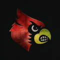 Cardinals mascot photo.