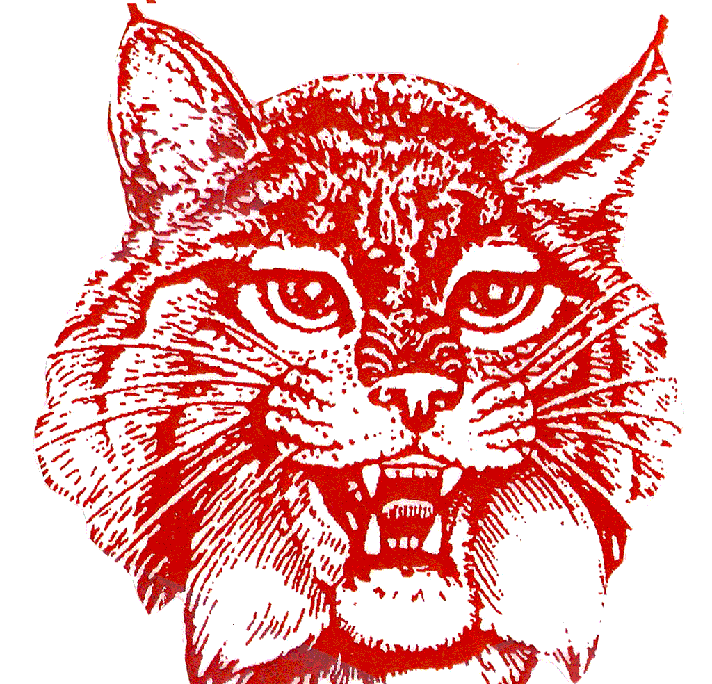 Liby Horn's (Manzanola, CO) Awards MaxPreps